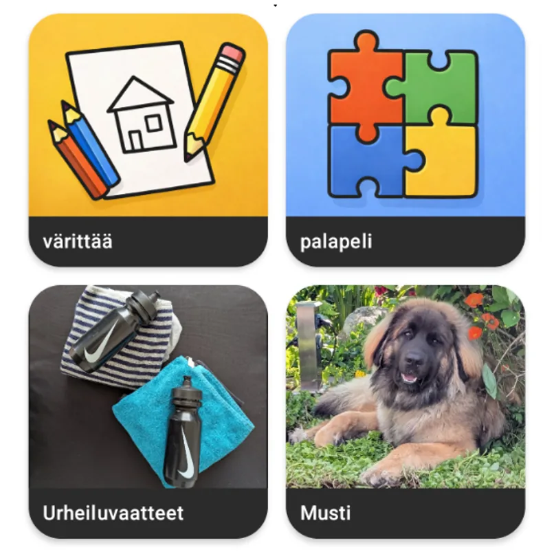 Minun ÄÄNI custom button grid showing drawing, puzzle, clothes, and pet buttons adapted to real life.